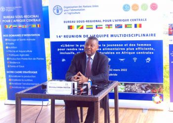 Hélder Muteia, le coordonnateur sous-régional de la FAO pour l’Afrique centrale et représentant au Gabon.