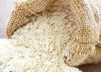 Avec l’approbation d’un financement de 52 milliards de FCFA) pour la promotion de la riziculture, la BID a renforcé sa coopération avec le Cameroun.
